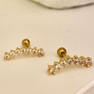 Stainless Steel Cartilage Earrings with Barbell